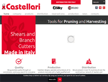 Tablet Screenshot of castellarisrl.com